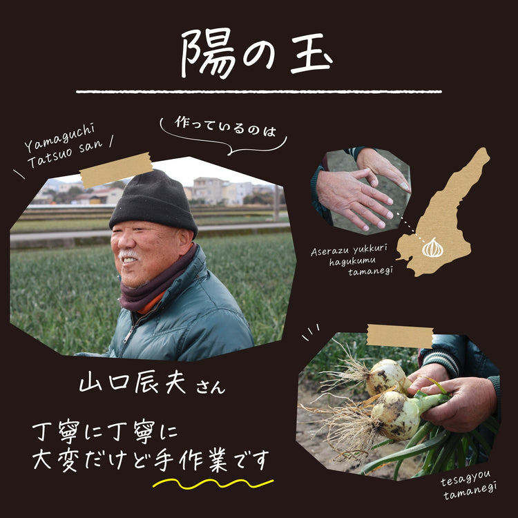 太陽の野菜