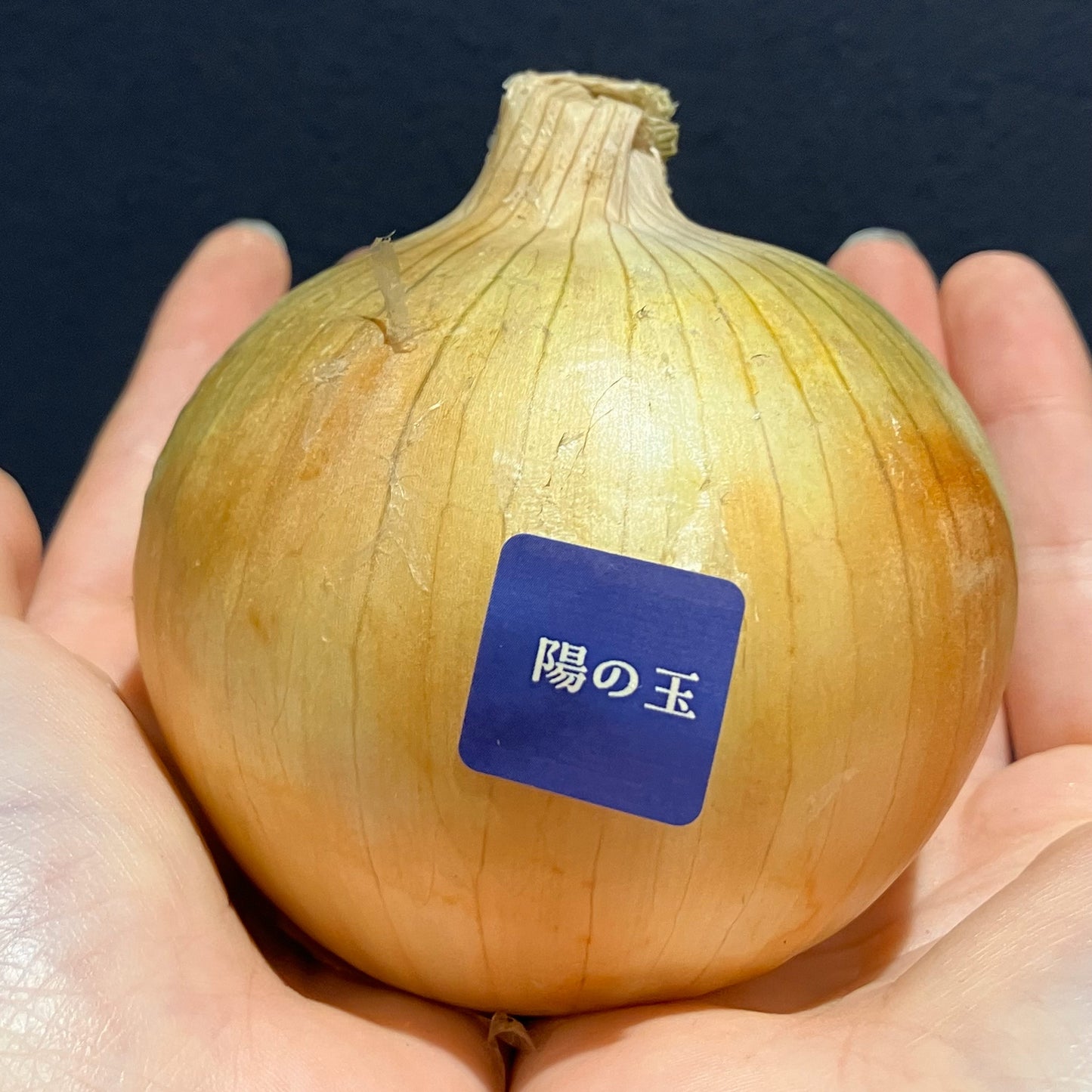 ちょっとだけ試したい!淡路島産玉ねぎ:食べ比べセット(4農家/各一個ずつ)