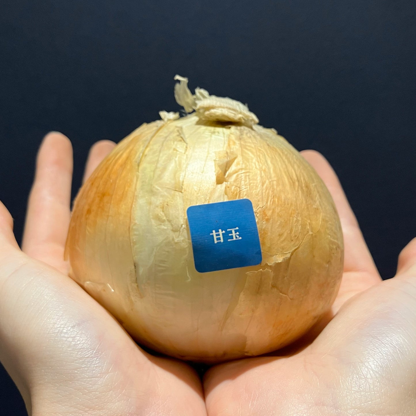 淡路島産玉ねぎ:甘玉(スーパーアップ) 1kg