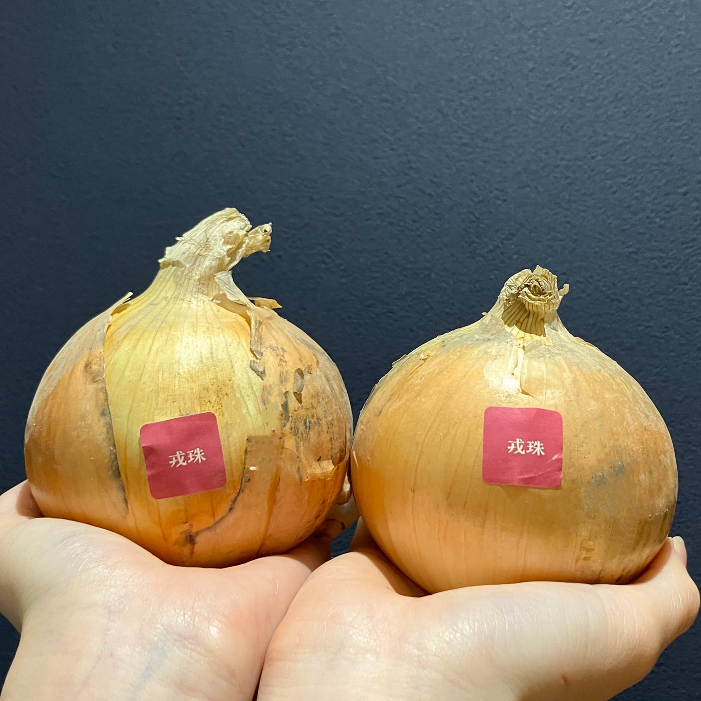 淡路島産玉ねぎ:戎珠(ボルト) 1kg
