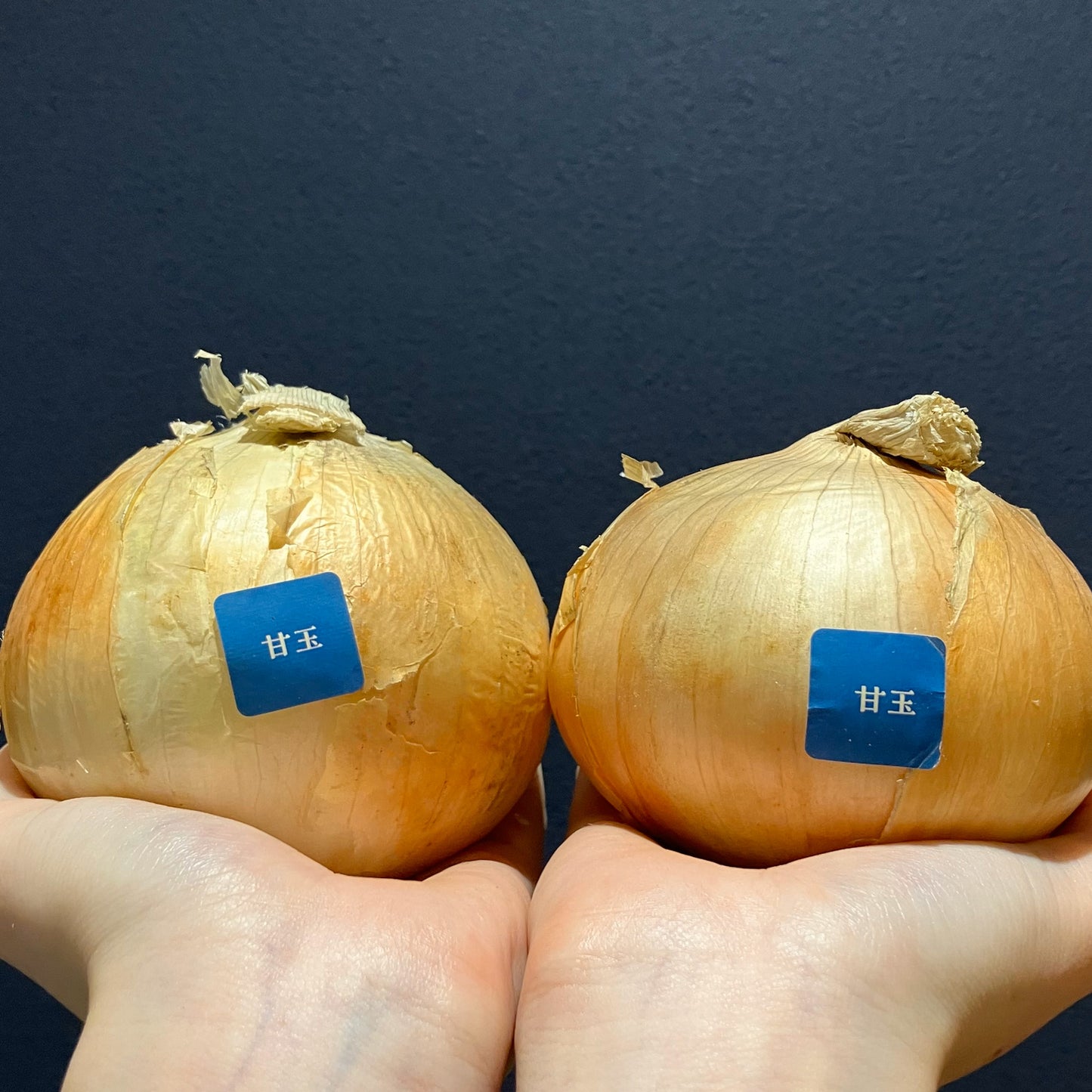 淡路島産玉ねぎ:甘玉(スーパーアップ) 1kg