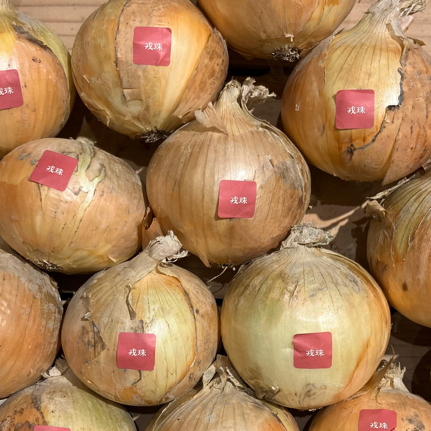 淡路島産玉ねぎ:戎珠(ボルト) 1kg