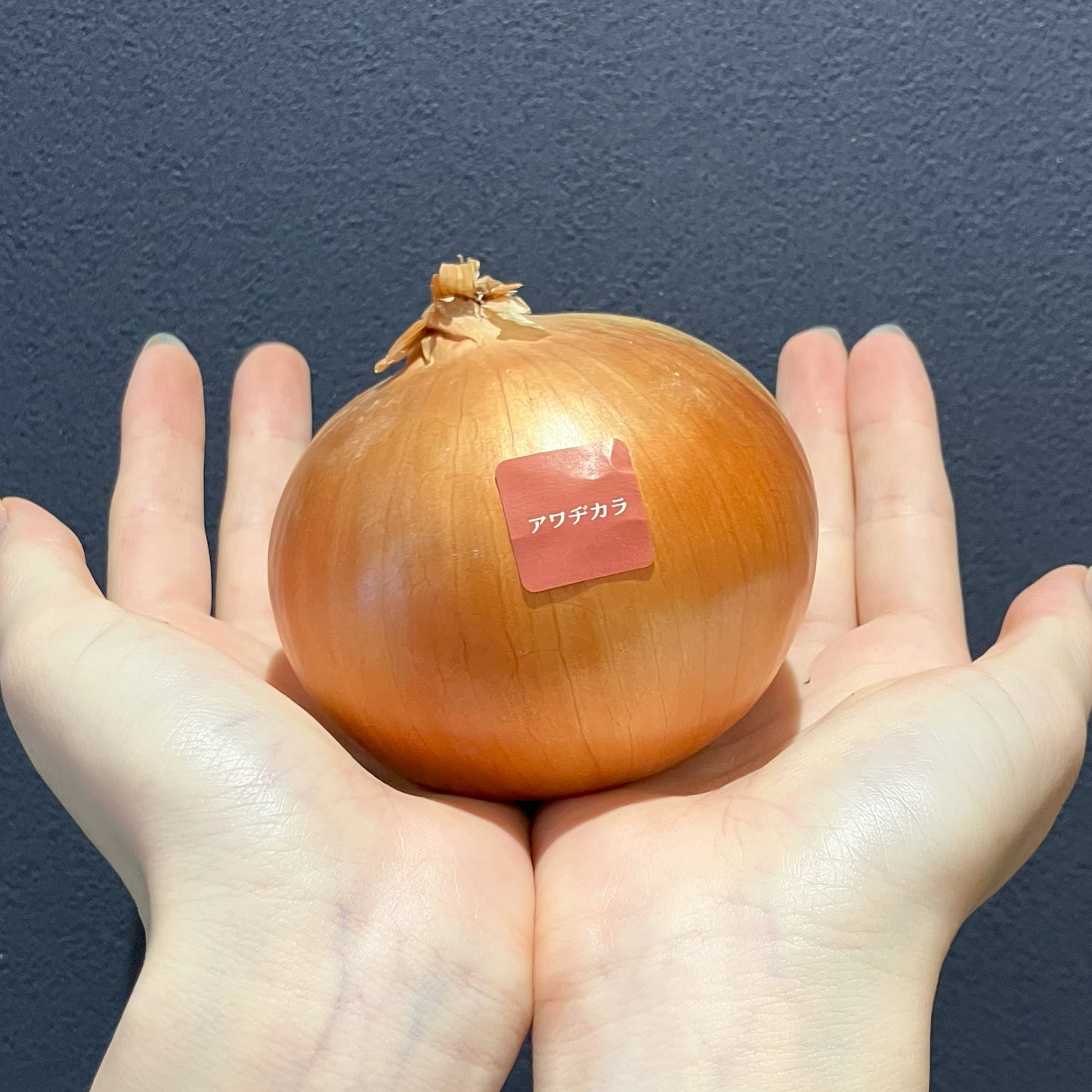 淡路島産玉ねぎ:アワヂカラ(ターザン) 3kg