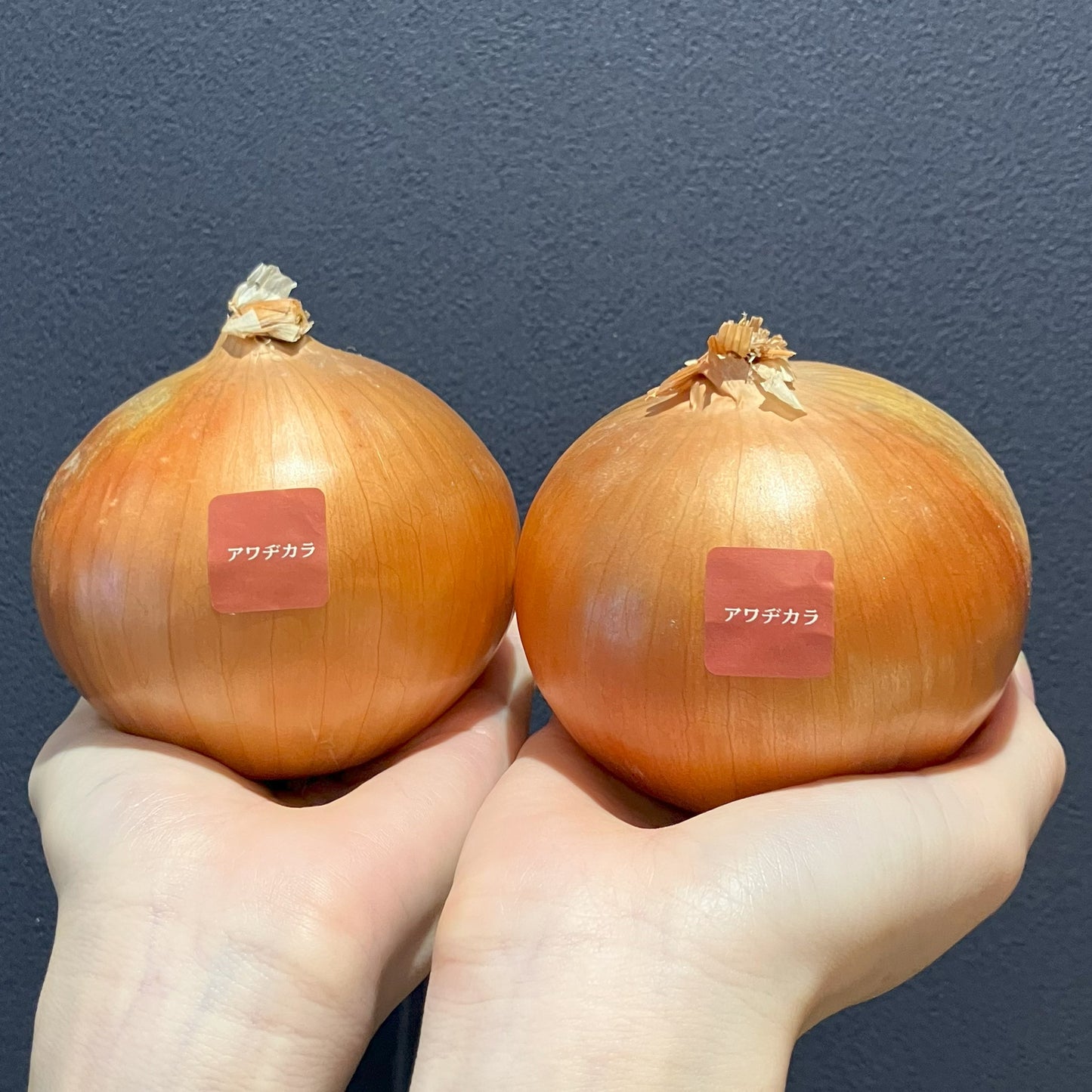 淡路島の甘い玉ねぎ|追熟のアワヂカラ(ターザン) 1kg