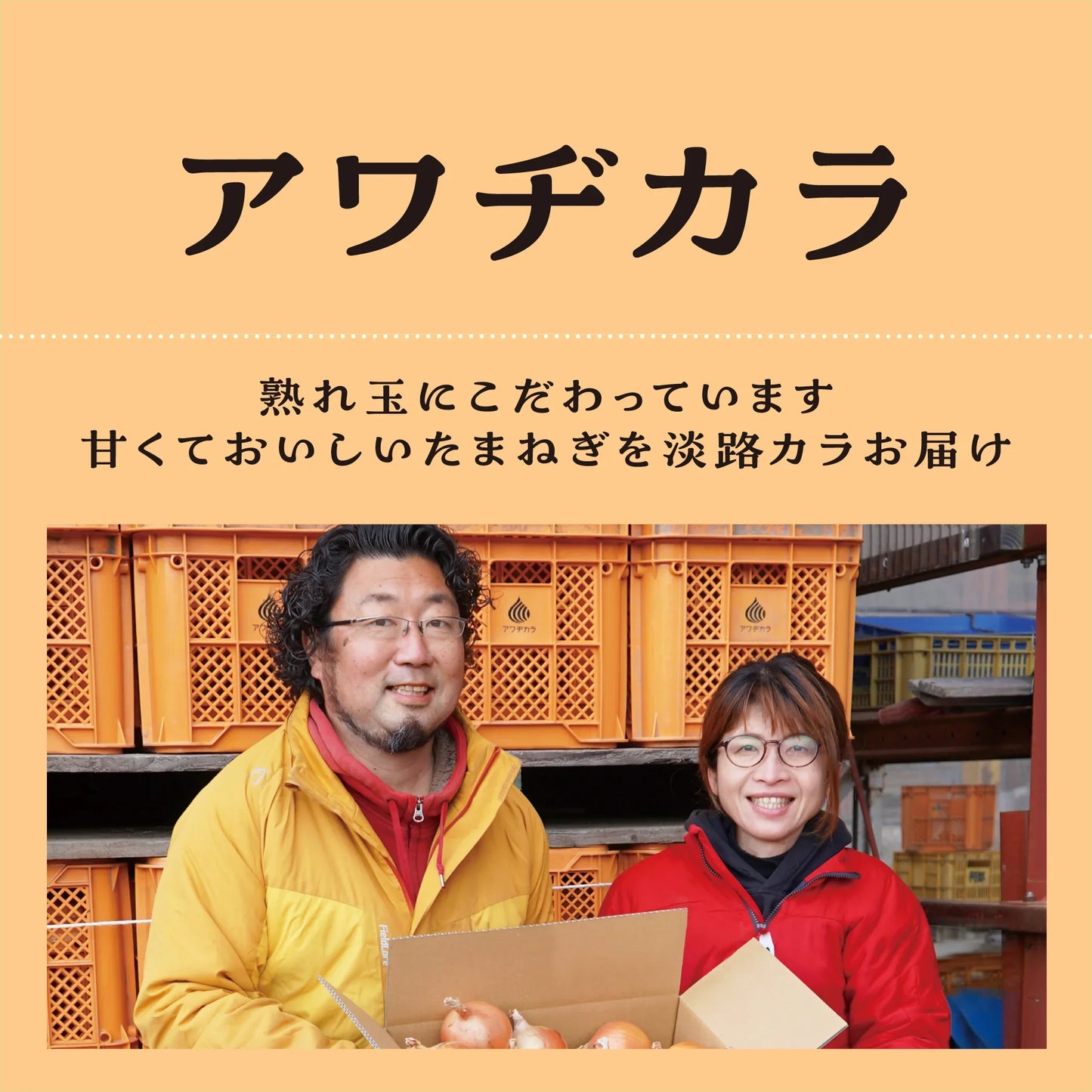 生産農家さんのしおり、淡路からおいしいたまねぎをおとどけ、生産農家ご夫妻の写真
