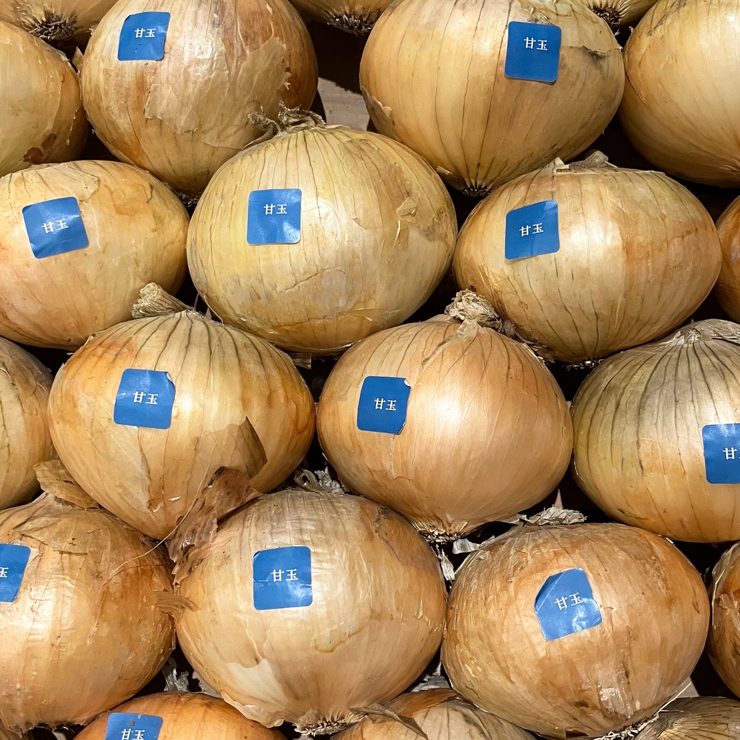 淡路島産玉ねぎ:甘玉(スーパーアップ) 1kg