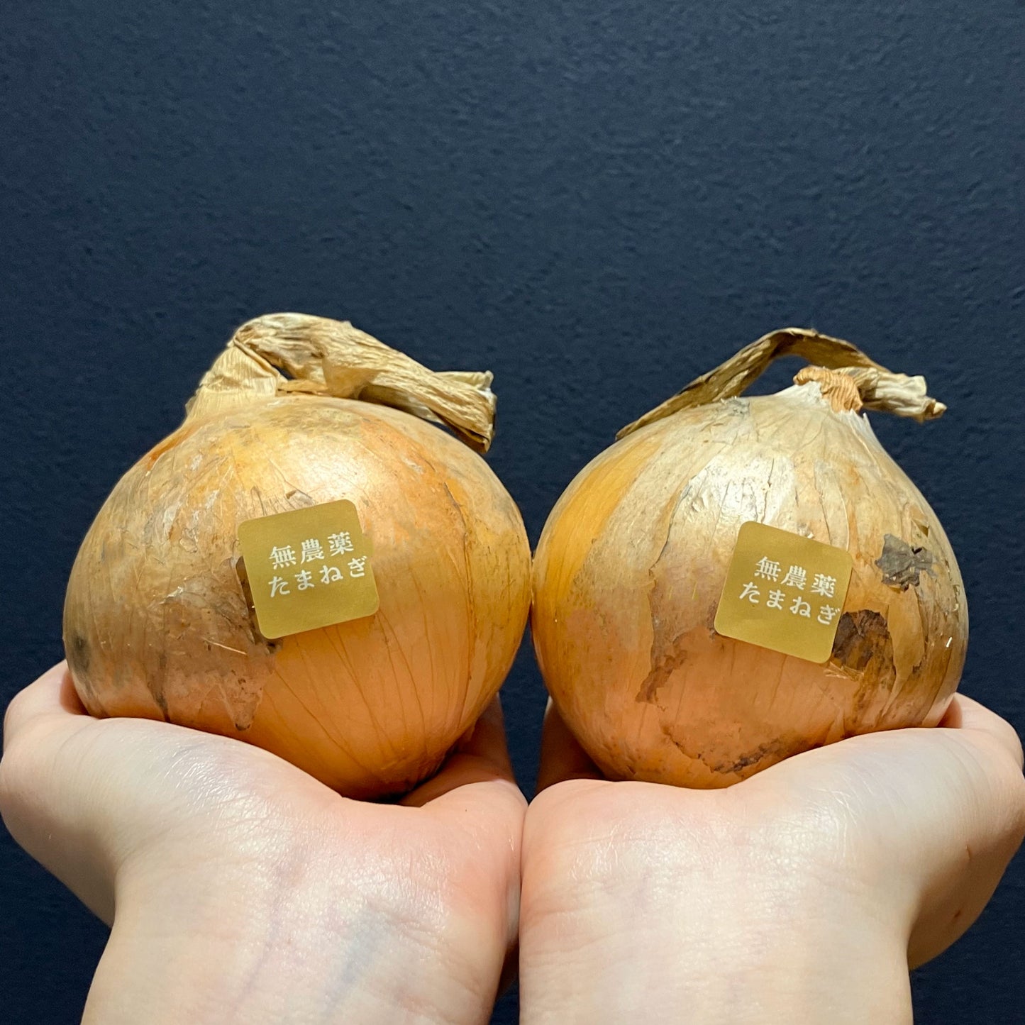 玉ねぎ2個並んでいます