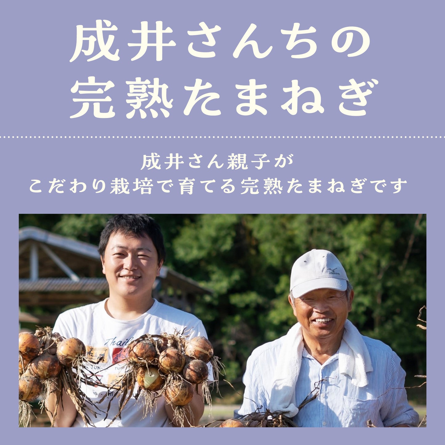 成井さんちの完熟たまねぎのしおりです。成井さん親子がこだわりの栽培で育てる完熟たまねぎです。たまねぎ親父として有名なお父さんと息子さんがとれたての玉ねぎを両手いっぱいにもち、にこやかな笑顔の写真です