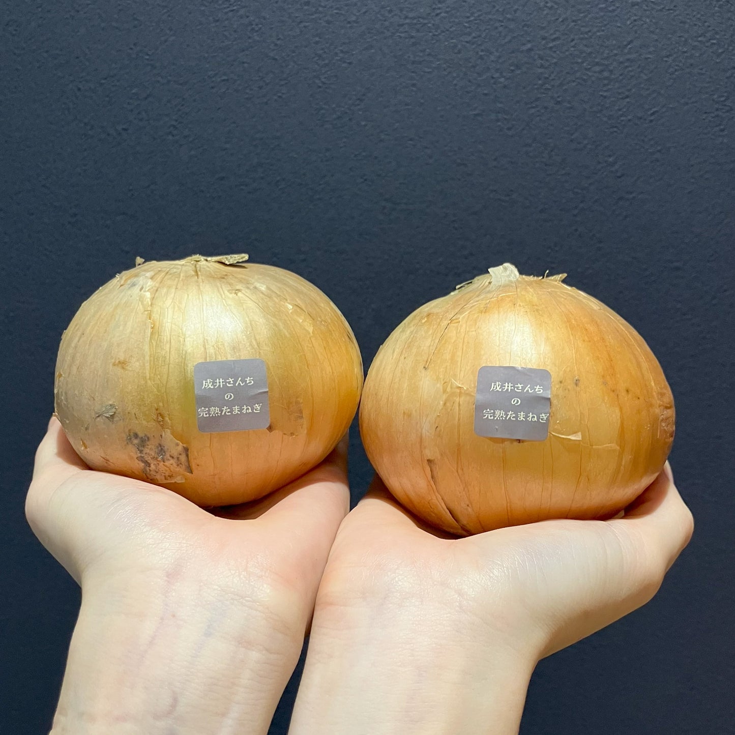 淡路島産玉ねぎ:成井さんちの完熟たまねぎ(アンサー) 1kg