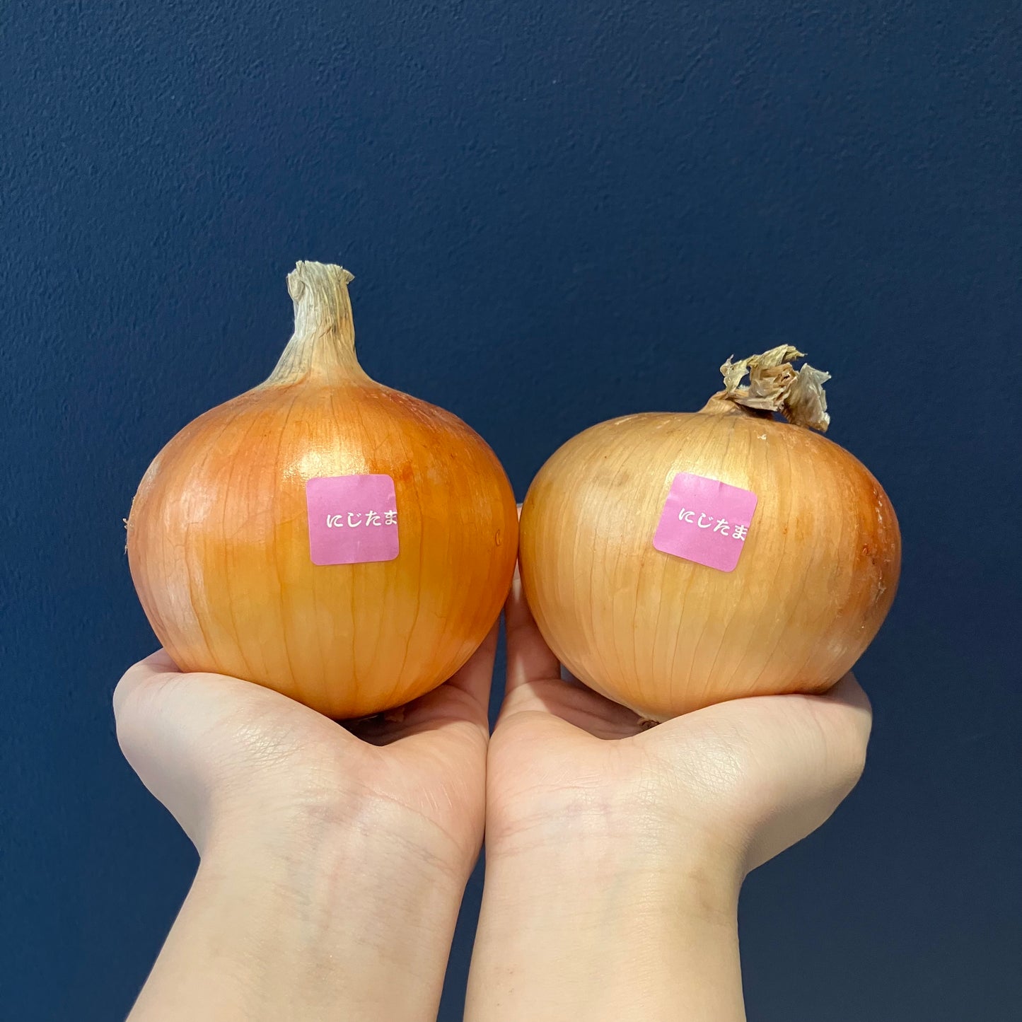 淡路島産玉ねぎ:にじたま(ターザン) 1kg