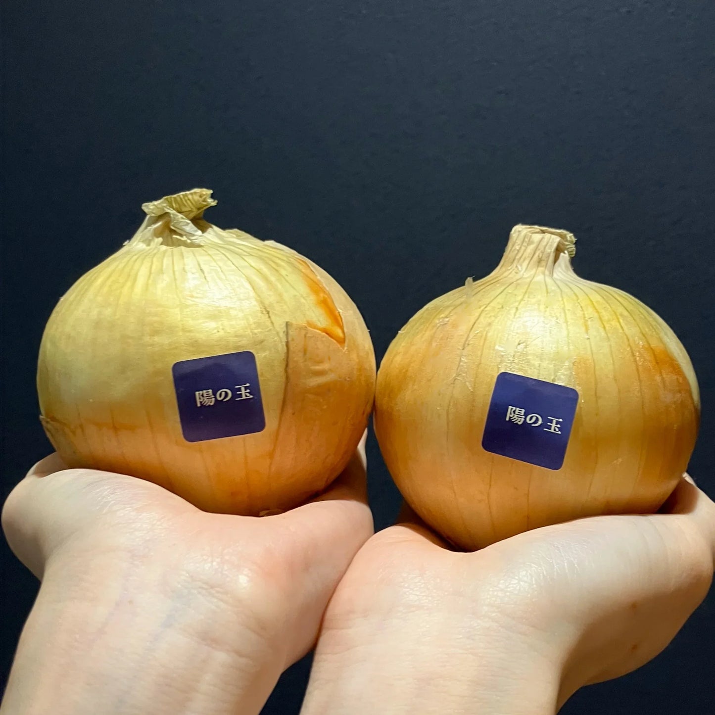 淡路島産玉ねぎ:陽の玉(ターザン)3kg