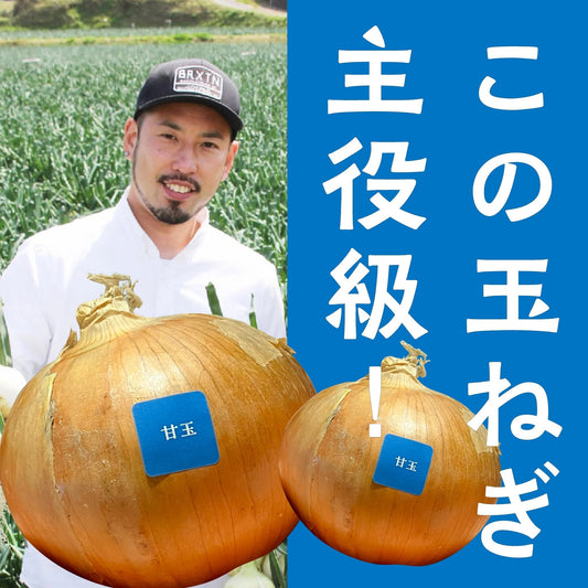 なぜ淡路島のたまねぎは甘いの？パート3