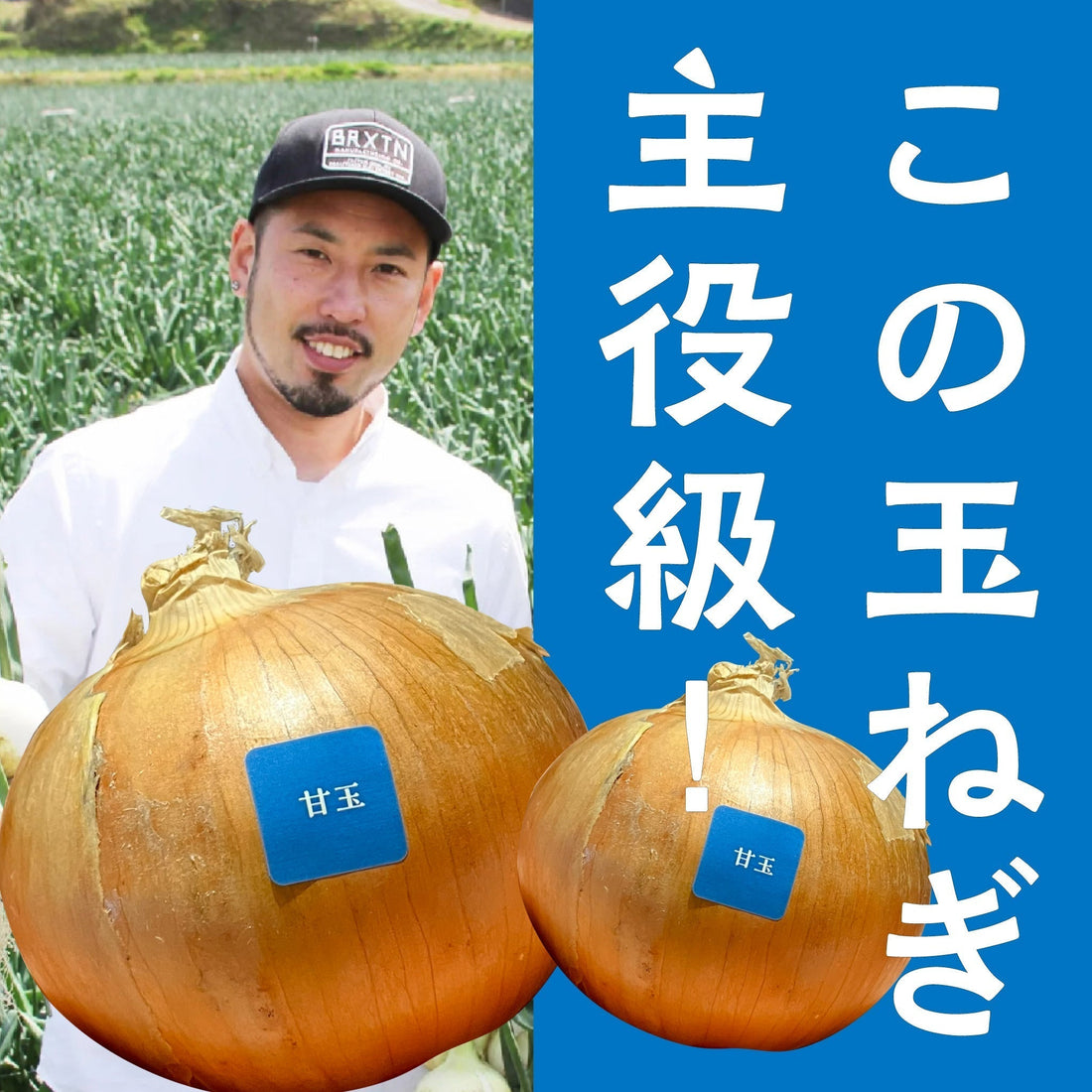 なぜ淡路島のたまねぎは甘いの？パート3