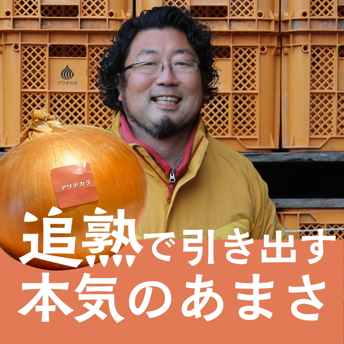 なぜ淡路島のたまねぎは甘い？