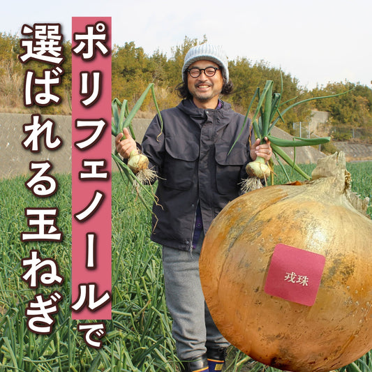 なぜ淡路島のたまねぎは甘いの？パート２