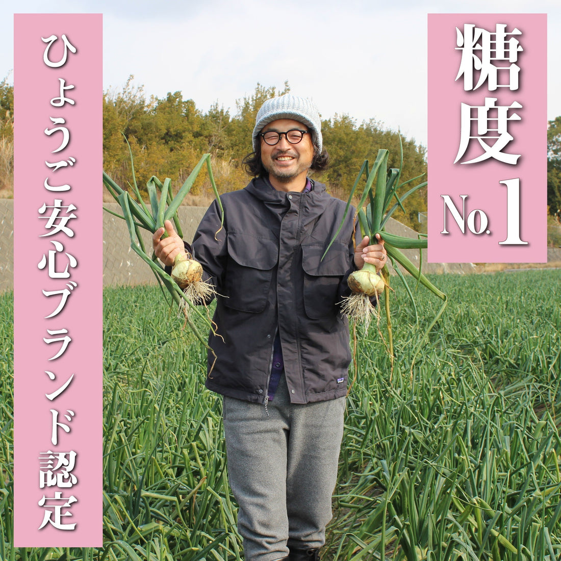 新玉ねぎ　登場！淡路島から春をお届けします