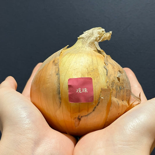 淡路島産玉ねぎ：戎珠（ケル玉）　1kg