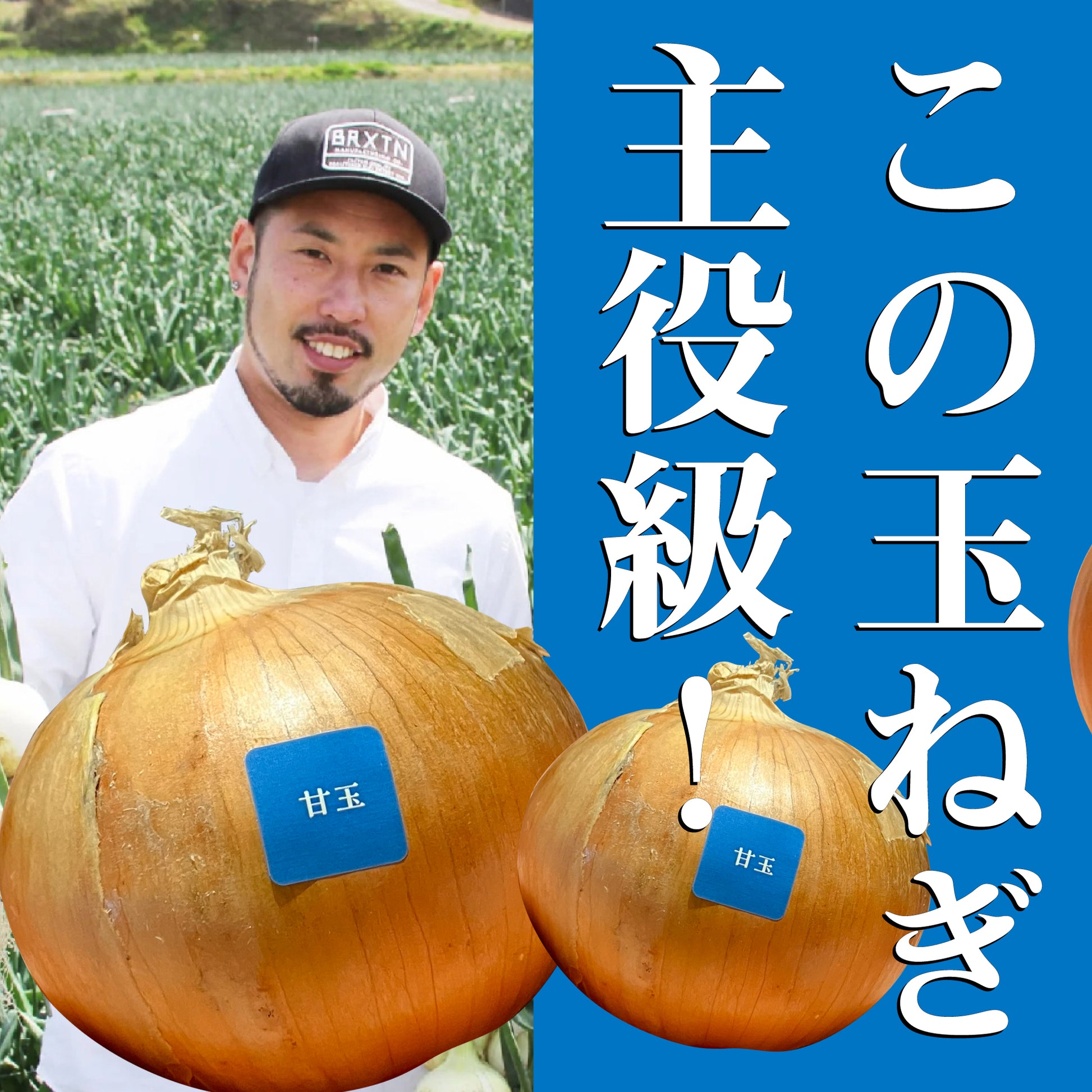 生産者の顔と、主役級の大きさとツヤを持つ玉ねぎの写真
