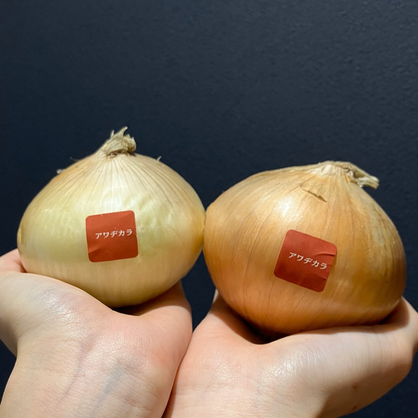 淡路島産玉ねぎ：アワヂカラ（浜笑）　1kg