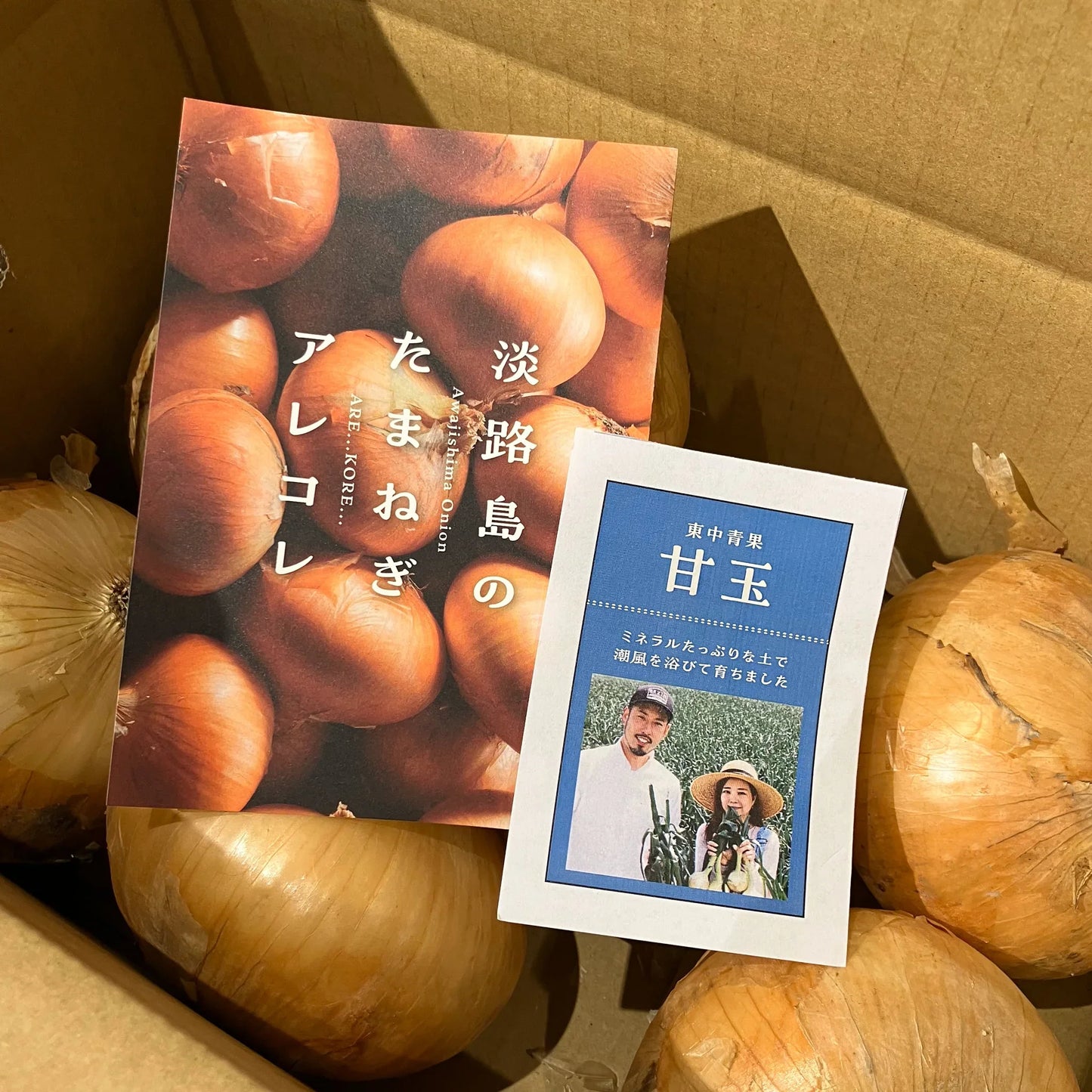 淡路島産新玉ねぎ 甘玉｜加熱でとろける甘さの新たまねぎ 甘玉-3㎏