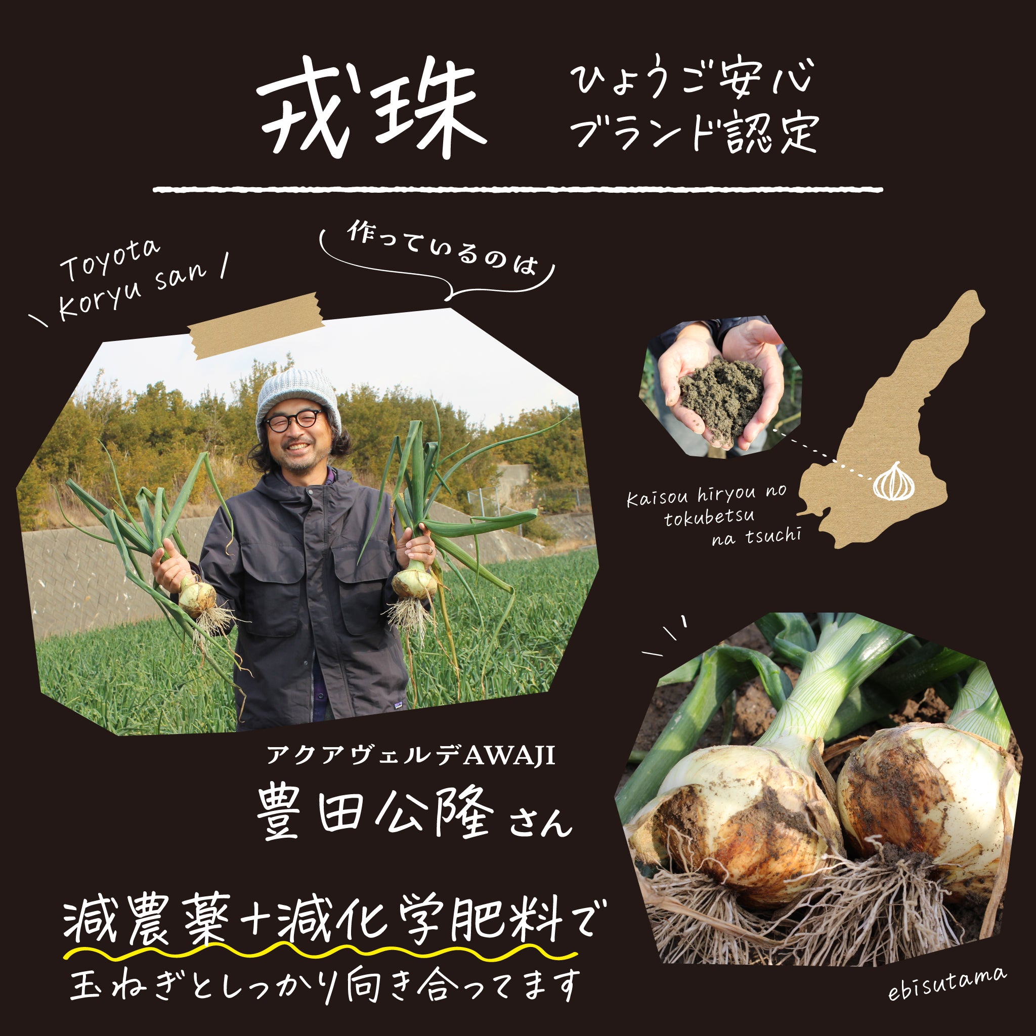 生産農家さんの紹介画像。ひょうご安心ブランド認定の戎玉をつくっているのは豊田さん。にこっと玉ねぎと一緒にうつる姿をのせてます