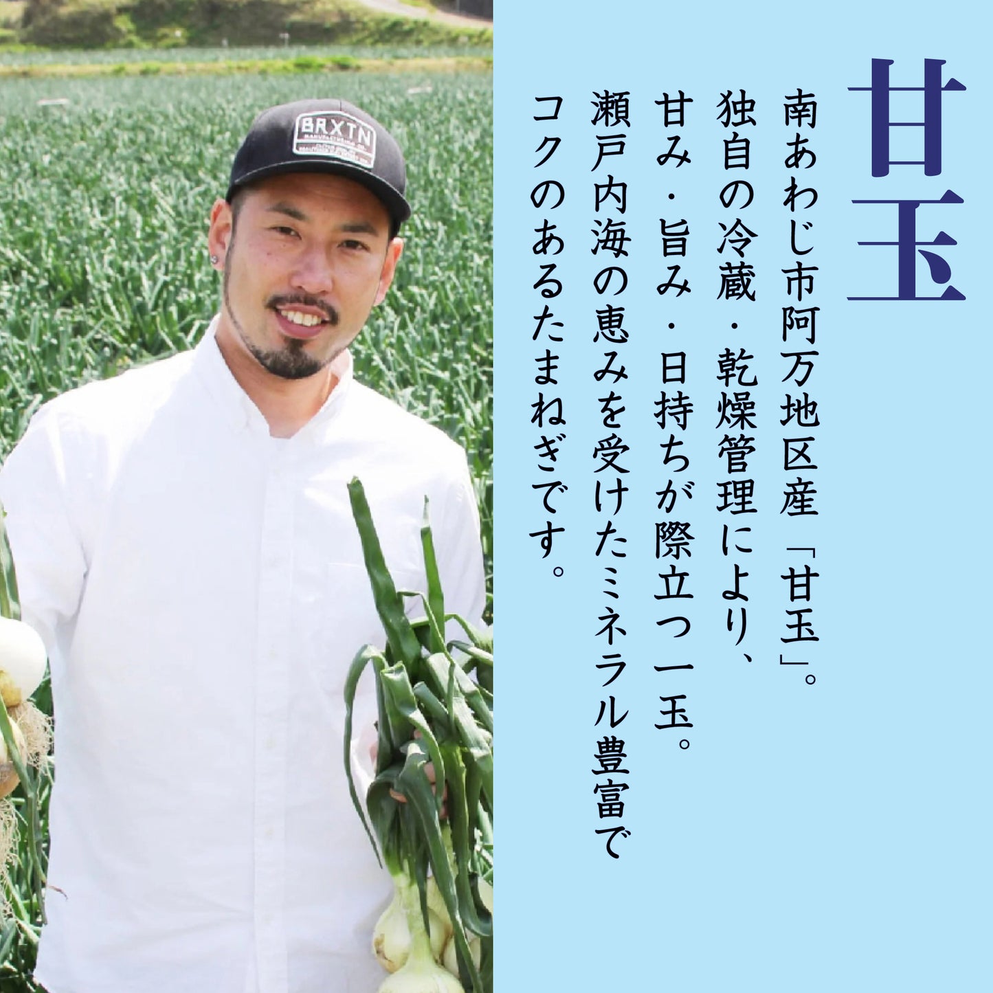 「甘玉」の文字と説明文、生産農家の顔写真が配置された紹介画像