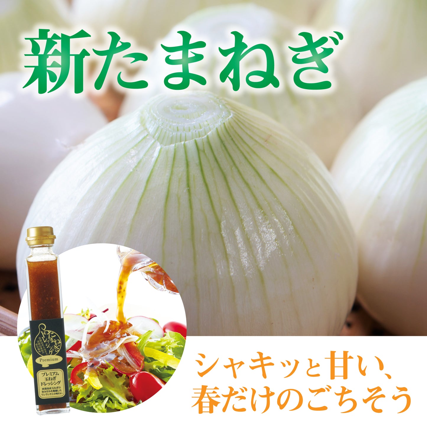 淡路島産の新玉ねぎを背景に、『新玉ねぎ』のタイトルとドレッシングセットを配置し、春限定の甘さやサラダに最適な食べ方を訴求した商品画像