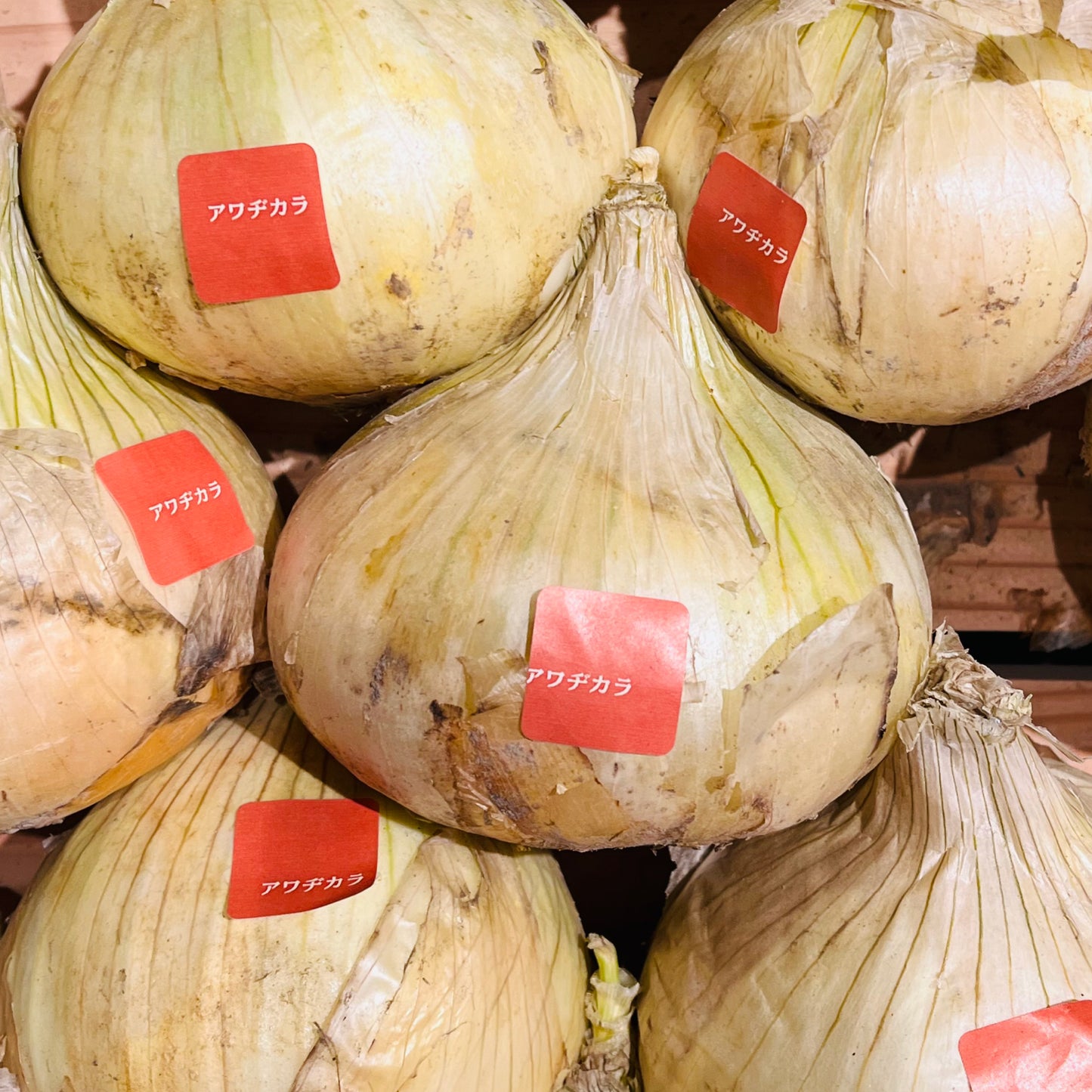 アワヂカラファーム直送の新玉ねぎにブランドシール『アワヂカラ』を貼り、店頭に並べた販売イメージ