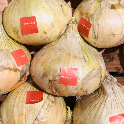 アワヂカラファーム直送の新玉ねぎにブランドシール『アワヂカラ』を貼り、店頭に並べた販売イメージ