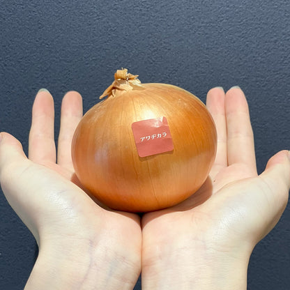 淡路島産玉ねぎ：アワヂカラ（ターザン）　3kg