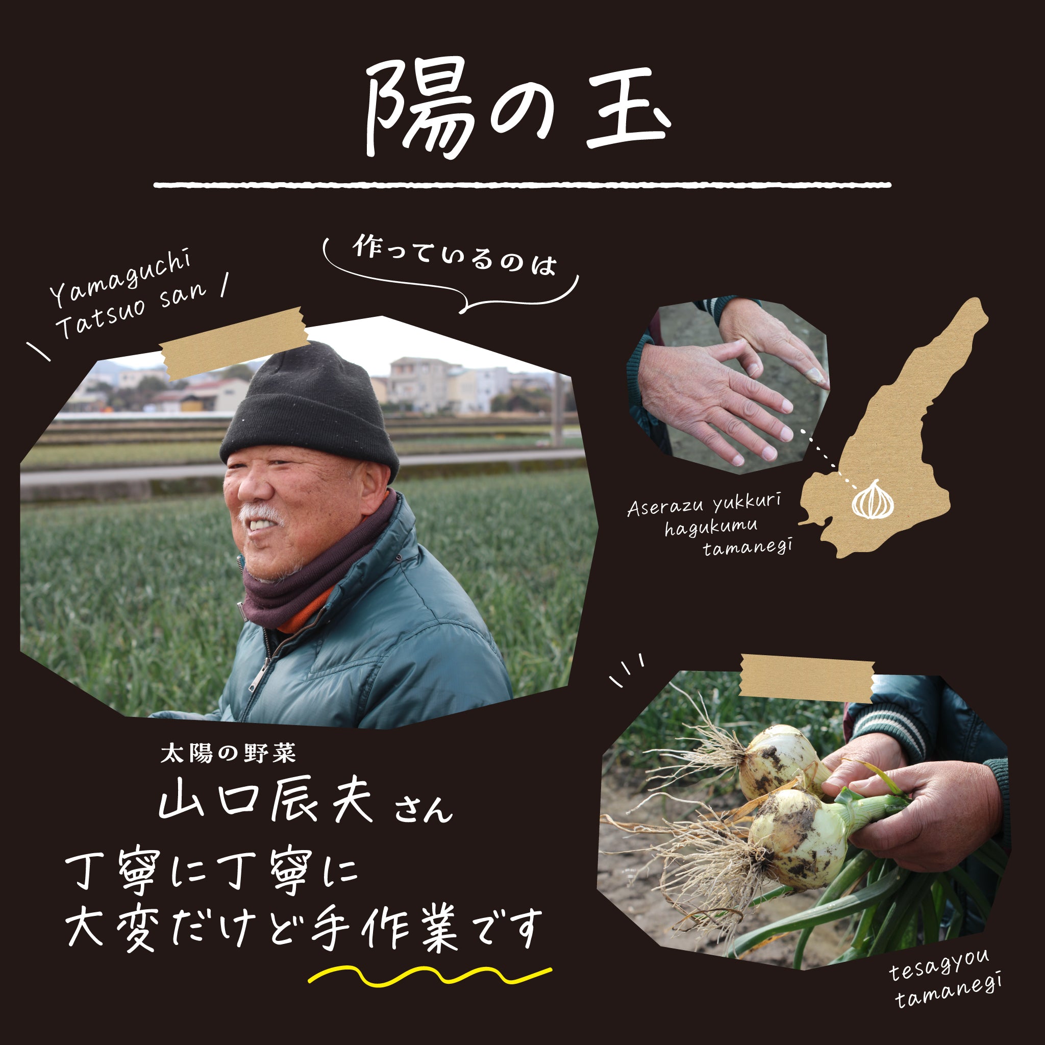 玉ねぎ農家さんの紹介。陽の玉を作っている山口さんのお顔とたまねぎを愛情もって育ててる手が印象的