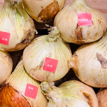 淡路島産新玉ねぎ　 戎珠｜糖度No.1の甘さと豊かな香りの新たまねぎ