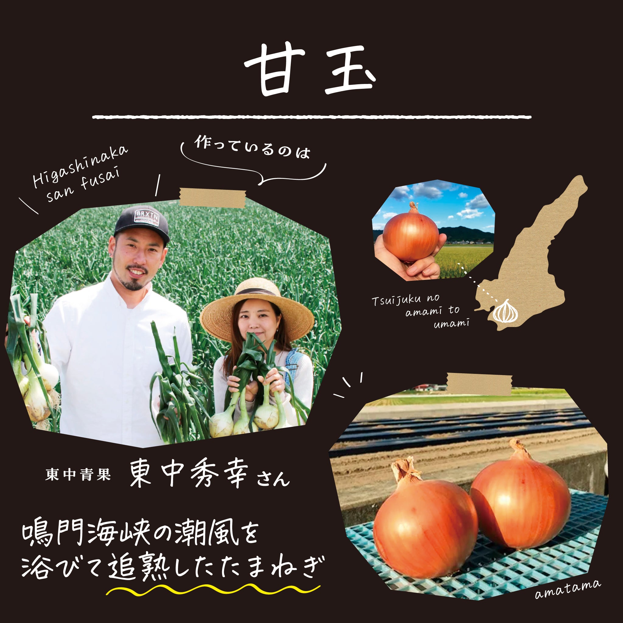 生産農家さんの紹介画像。甘玉を作っている東中青果さん。写真ではなかなか伝わりにくいけど、甘玉は大きさにびっくりします。