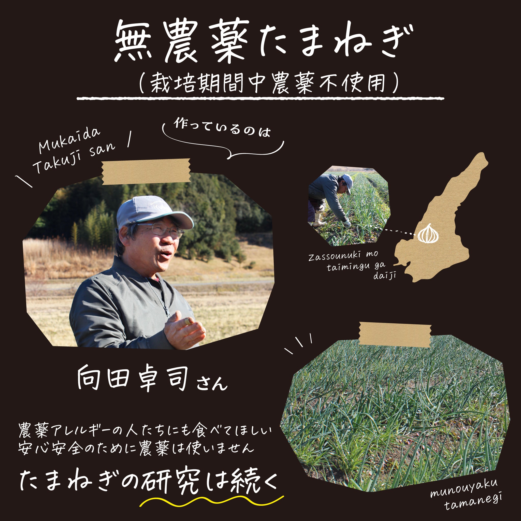 生産農家さんの紹介画像・無農薬たまねぎ（栽培期間中農薬不使用）で玉ねぎをつくる向田さんお顔からは玉ねぎへの情熱が感じられらます