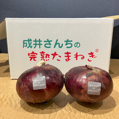 成井さんちの完熟たまねぎ（甘丸ルビー）1kgは、じっくり育てられた赤玉ねぎで、アントシアニンがたっぷり詰まっています。ナスや紫イモ、紫キャベツにも負けないこの紫色のポリフェノールは、体の中の活性酸素をやっつけて、強力な抗酸化パワーを発揮！生活習慣病の予防や血のめぐりアップにも役立ち、元気な毎日を応援します。鮮やかな色と栄養満点の自慢の一品です。成井さんち専用の箱の前に玉ねぎ２つ置いた写真