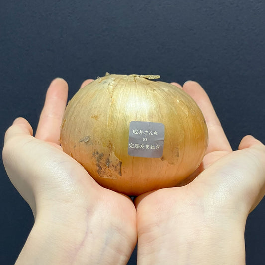 淡路島産玉ねぎ：成井さんちの完熟たまねぎ（アンサー）　1kg