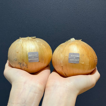 淡路島産玉ねぎ：成井さんちの完熟たまねぎ（アンサー）　1kg