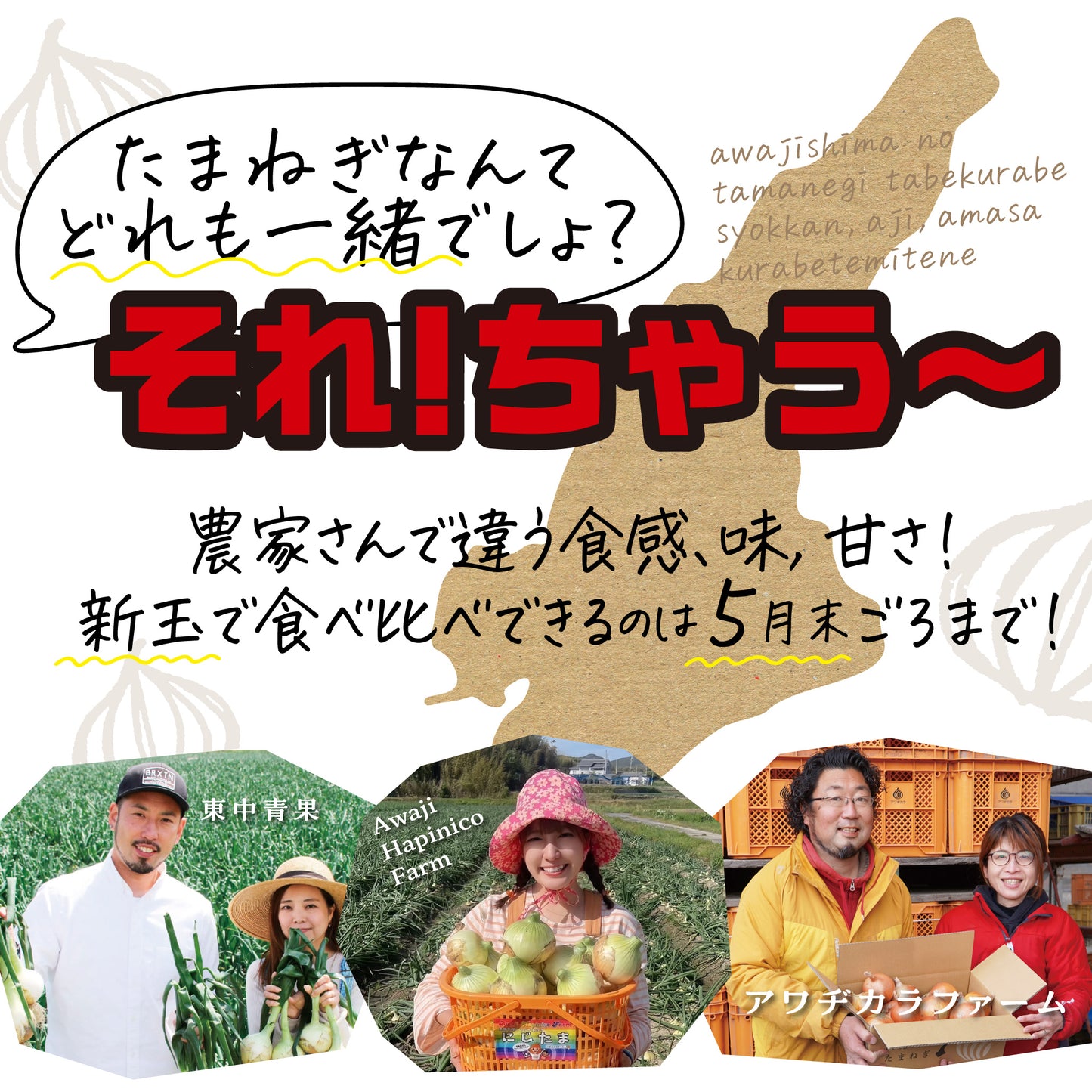 新玉ねぎの食べ比べセット。「たまねぎなんてどれも一緒でしょ？」に「それちゃう～」と大きく打ち出し、3農家の違いを画像で見せた訴求イメージ