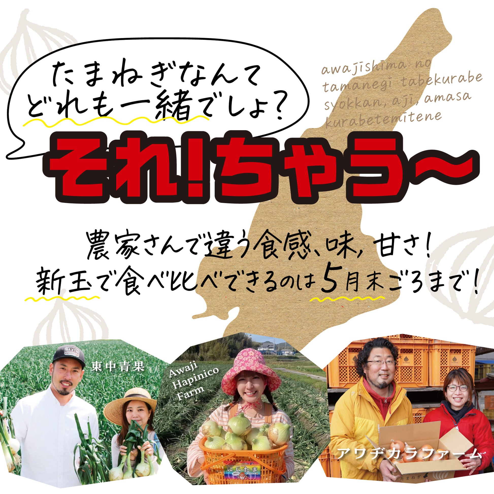 新玉ねぎの食べ比べセット。「たまねぎなんてどれも一緒でしょ？」に「それちゃう～」と大きく打ち出し、3農家の違いを画像で見せた訴求イメージ