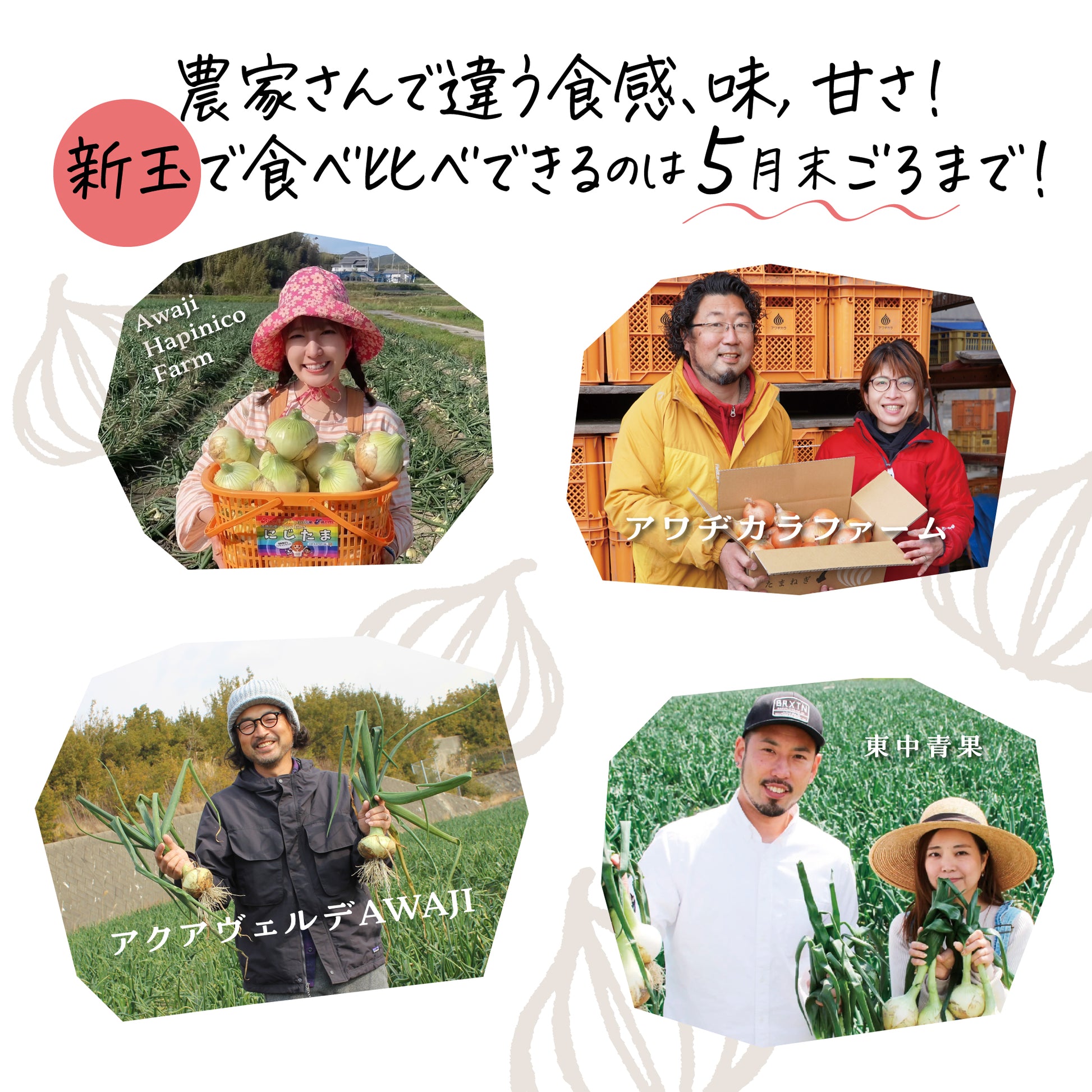 農家ごとに違う味と甘さを楽しむ淡路島の新玉ねぎ｜4農家の食べ比べ（5月末頃まで）